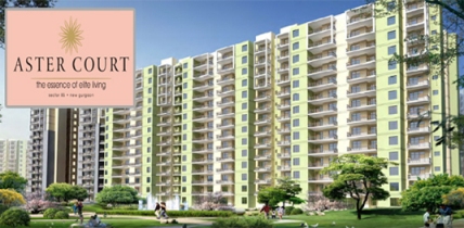 Orris Aster Court 